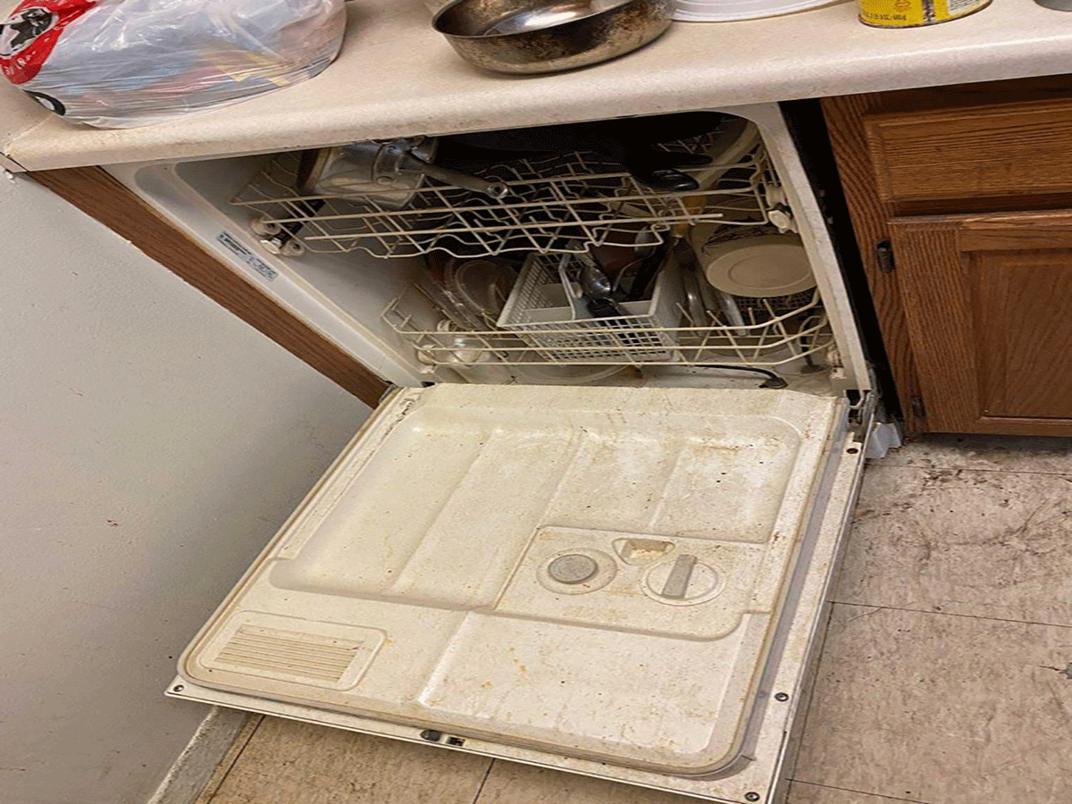 Before Image